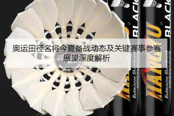 奥运田径名将今夏备战动态及关键赛事参赛展望深度解析